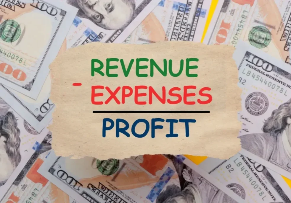 Revenue, expenses, and profit handwritten on a torn paper.